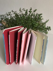 Carnets souples coloré